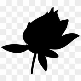 Illustration, HD Png Download - lotus png