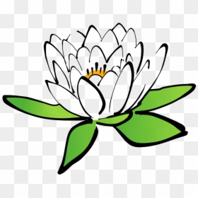 First Flowering Plants Cartoon, HD Png Download - lotus png