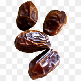 Date Palm, HD Png Download - palm png