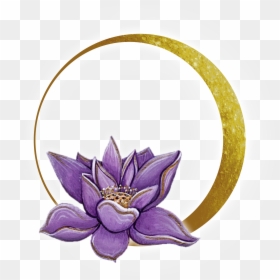Moon Lotus, HD Png Download - lotus png