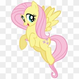 Fluttershy My Little Pony Characters, HD Png Download - my little pony png