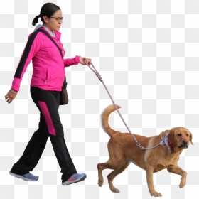 Person Walking A Dog Png, Transparent Png - person walking png