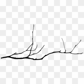 Tree Branch Png, Transparent Png - tree branch png