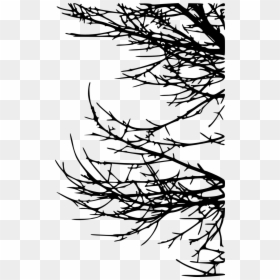 Line Art, HD Png Download - tree branch png