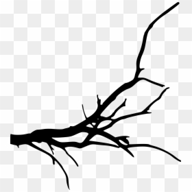 Transparent Background Tree Branch, HD Png Download - tree branch png