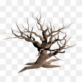 Dry Tree Transparent Background, HD Png Download - tree branch png