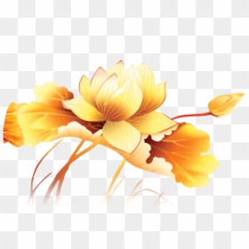 Tranh Cá Chép Sen Vàng, HD Png Download - lotus flower png