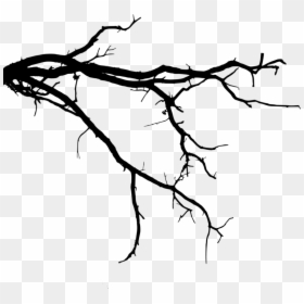 Tree Branch Silhouette Png, Transparent Png - tree branch png