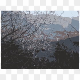 Reflection, HD Png Download - tree branch png