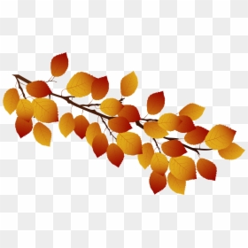 Fall Leaves On Branch Clip Art, HD Png Download - tree branch png