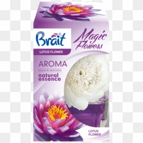 Brait Magic Flower, HD Png Download - lotus flower png