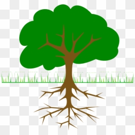 Apple Tree With Roots, HD Png Download - tree branch png