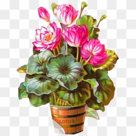 Potted Flower Clipart Hd, HD Png Download - lotus flower png