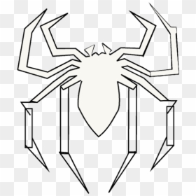 Spiderman 🕷 Spider Drawing, HD Png Download - spiderman logo png