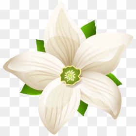 Png Format Images Of Flowers, Transparent Png - png format images of flowers