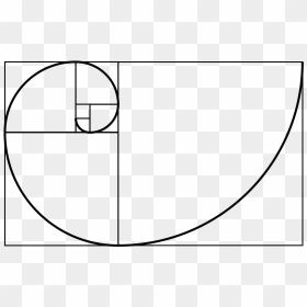 Fibonacci Spiral, HD Png Download - golden ratio png