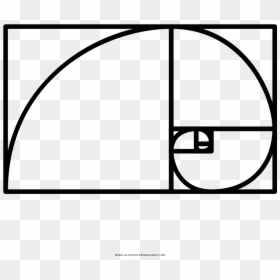 Fibonacci Spiral, HD Png Download - golden ratio png