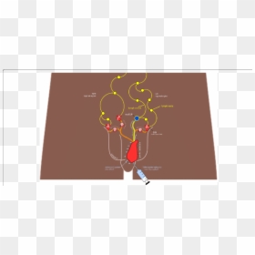 Graphic Design, HD Png Download - tracer png