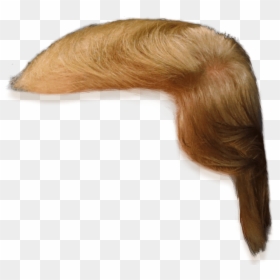 Donald Trump Hair Only, HD Png Download - blonde hair png