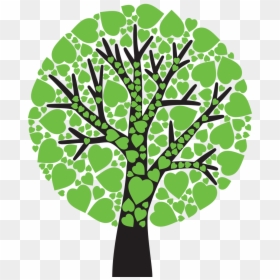 Фотки Picture Tree, Spring Tree, Tree Leaves, Family - Tree, HD Png Download - spring tree png