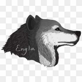 White Wolf Png -wolf Drawing Png - Rough Collie, Transparent Png - wolf transparent png