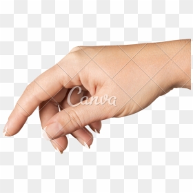 Transparent Hand Holding Something Png - Coin, Png Download - hand holding something png