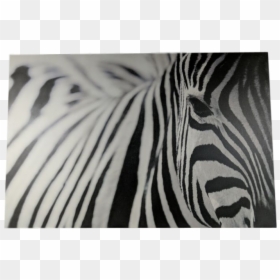 Ikea Zebra, HD Png Download - zebra stripes png