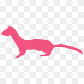 Silueta Comadreja Png, Transparent Png - weasel png