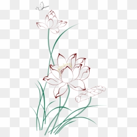 Petal Drawing Lotus - Nymphaea Nelumbo, HD Png Download - lotus flower graphic png