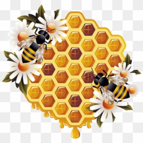 Kisspng Honey Bee Beehive Bumblebee Bee - Honey Bee Png Transparent, Png Download - honeybee png