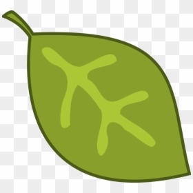 Seaweed Clipart Rainforest Leave, HD Png Download - seaweed clipart png