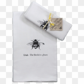 House Fly, HD Png Download - honeybee png