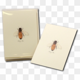 Honey Bee Notecard Honeybee Greeting Card - Honeybee, HD Png Download - honeybee png