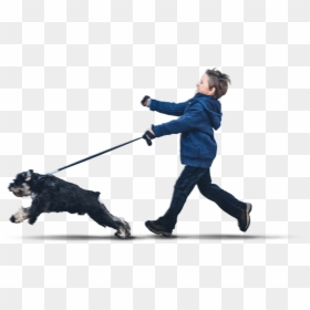 Transparent People Walking Dog Png - People Walking Dog Png, Png Download - walking dog png