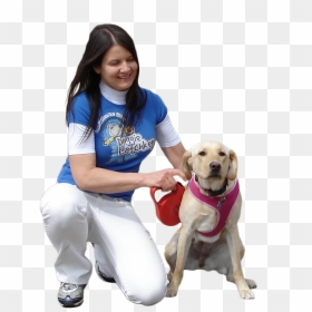 Transparent Dog Walker Clipart - People Dogs Png, Png Download - walking dog png
