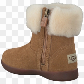 Ugg Boots , Png Download - Snow Boot, Transparent Png - uggs png
