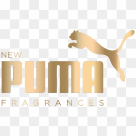 Transparent The Weeknd Xo Png - Puma, Png Download - jumping tiger png