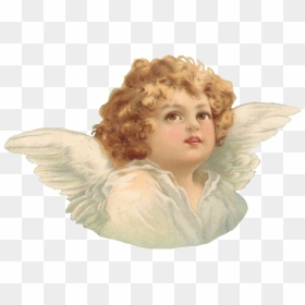 Angel Png Download - Cherub Png, Transparent Png - angel png transparent