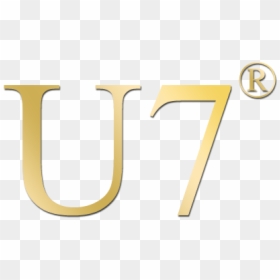 Calligraphy, HD Png Download - rapper chain png