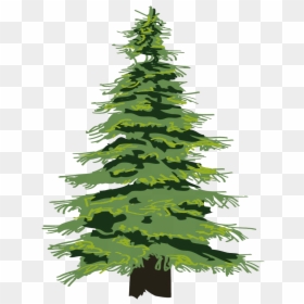 Cedar Tree Transparent Png - Transparent Pine Tree Clipart, Png Download - christmas tree transparent png