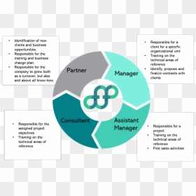 Circle Forfirm System - Circle, HD Png Download - infographic png
