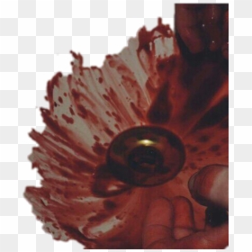 Transparent Bloody Hands Png - Blood Aesthetic, Png Download - bloody hands png
