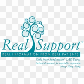Realsupport™ - Dalet, HD Png Download - novartis logo png
