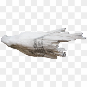 Driftwood, HD Png Download - real eyes png