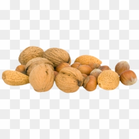 Now You Can Download Walnut Icon Clipart - Transparent Nut Png, Png Download - nut button png