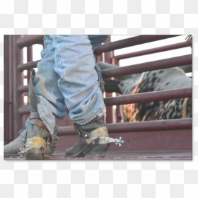 Bull Riding Spurs Canvas Print - Bull Riding Spurs On Boots, HD Png Download - bull riding png