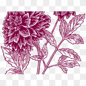Transparent Yucca Png - Black Dahlia Flower Drawing, Png Download - brother sister png
