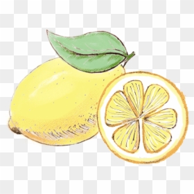 Hand Painted Watercolor Lemon Simple Png And Psd - Watercolor Lemon Transparent Background, Png Download - lemon fruit png