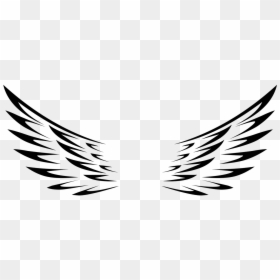 Vector Angel Wings Png, Transparent Png - bird feathers png