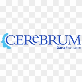 Cerebrum Article - Oval, HD Png Download - past due stamp png